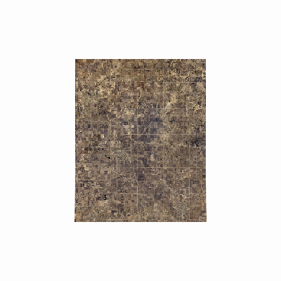 Export Image